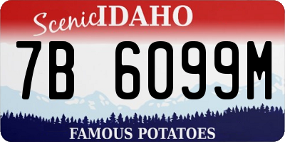 ID license plate 7B6099M