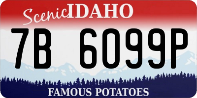 ID license plate 7B6099P