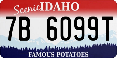 ID license plate 7B6099T