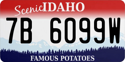 ID license plate 7B6099W