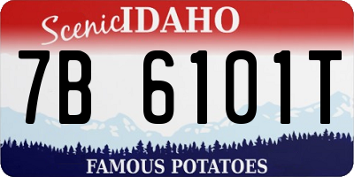 ID license plate 7B6101T