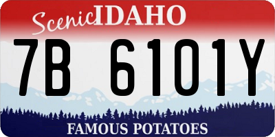 ID license plate 7B6101Y