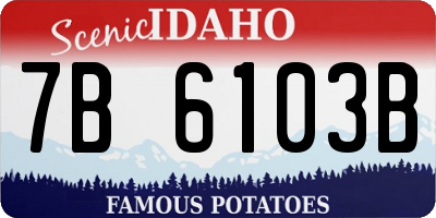 ID license plate 7B6103B