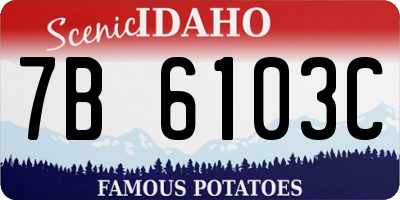 ID license plate 7B6103C