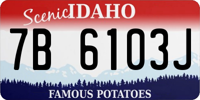 ID license plate 7B6103J