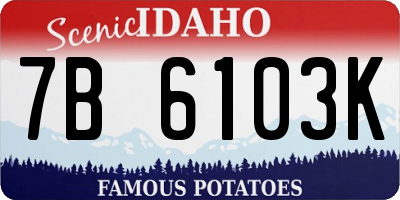 ID license plate 7B6103K