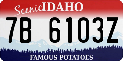 ID license plate 7B6103Z