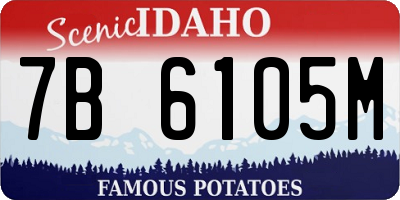 ID license plate 7B6105M