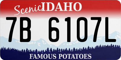 ID license plate 7B6107L