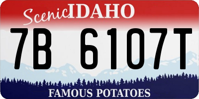 ID license plate 7B6107T