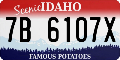 ID license plate 7B6107X