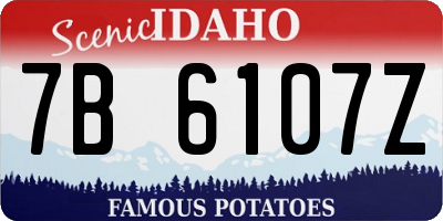 ID license plate 7B6107Z