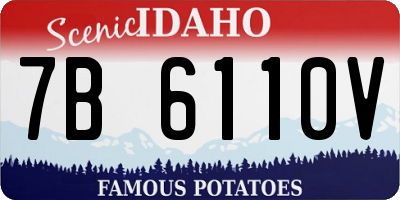 ID license plate 7B6110V