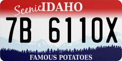 ID license plate 7B6110X