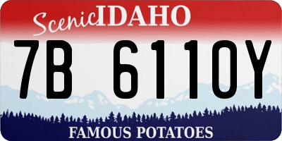 ID license plate 7B6110Y