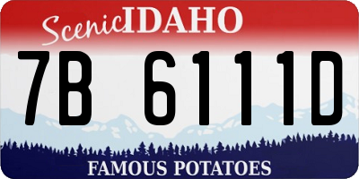 ID license plate 7B6111D