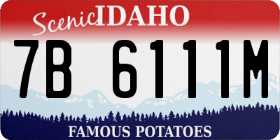 ID license plate 7B6111M