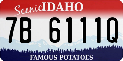 ID license plate 7B6111Q