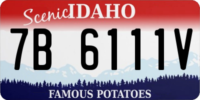 ID license plate 7B6111V