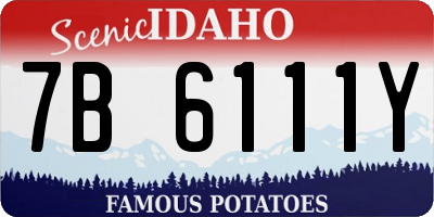 ID license plate 7B6111Y