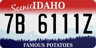 ID license plate 7B6111Z