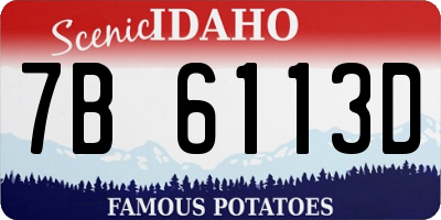 ID license plate 7B6113D