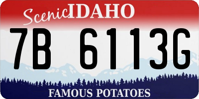 ID license plate 7B6113G