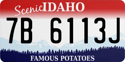 ID license plate 7B6113J