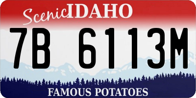 ID license plate 7B6113M