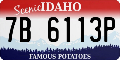 ID license plate 7B6113P