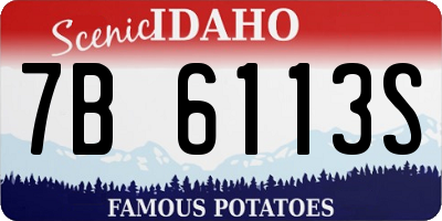ID license plate 7B6113S