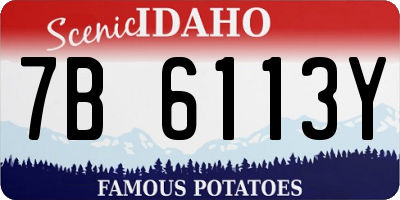ID license plate 7B6113Y