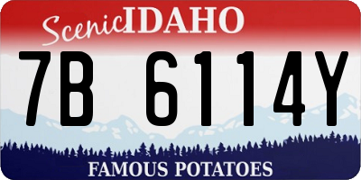 ID license plate 7B6114Y