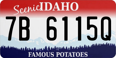 ID license plate 7B6115Q