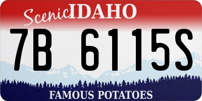 ID license plate 7B6115S