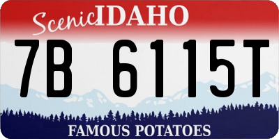 ID license plate 7B6115T
