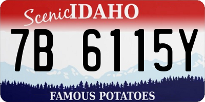 ID license plate 7B6115Y