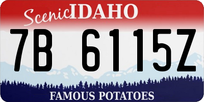 ID license plate 7B6115Z