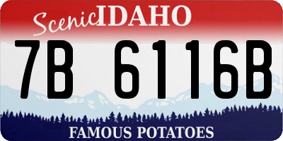 ID license plate 7B6116B