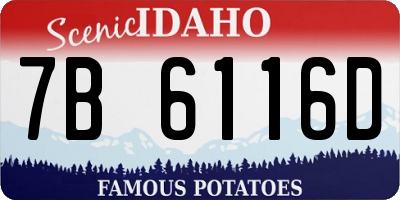 ID license plate 7B6116D