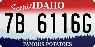 ID license plate 7B6116G