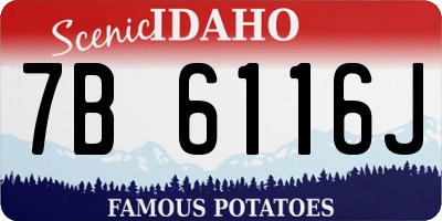 ID license plate 7B6116J
