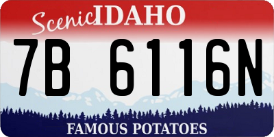 ID license plate 7B6116N
