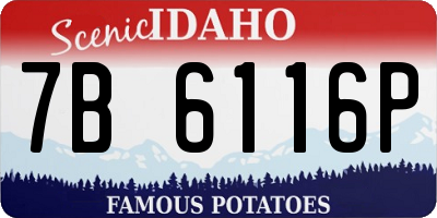 ID license plate 7B6116P