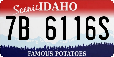 ID license plate 7B6116S