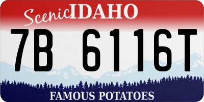 ID license plate 7B6116T