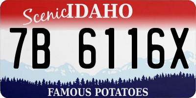 ID license plate 7B6116X