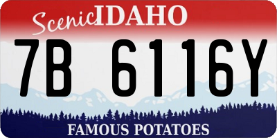 ID license plate 7B6116Y