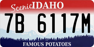 ID license plate 7B6117M