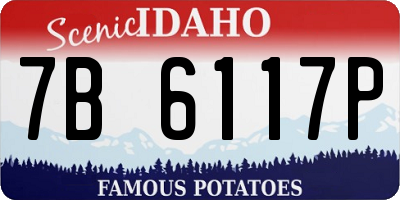 ID license plate 7B6117P